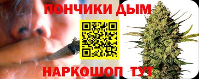 сатива Новодвинск