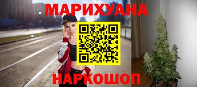 сатива Новодвинск