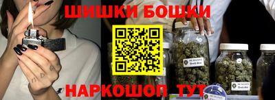 сатива Новодвинск